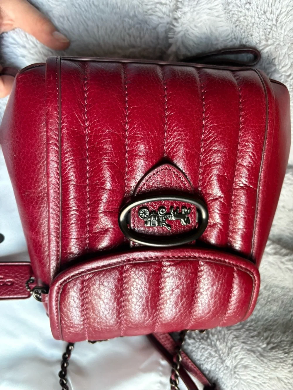 Coach authentic melody